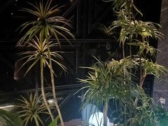 -华夏良子·足道SPA艾灸(金皇大厦店)