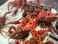 -海吃海喝海鲜烤肉炭火主题自助餐(朝阳店)
