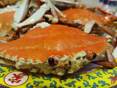 -清真老马家海鲜大排档(台东店)