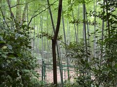 -上海佘山国家森林公园西佘山园