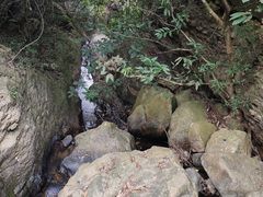 -东莞市大岭山森林公园
