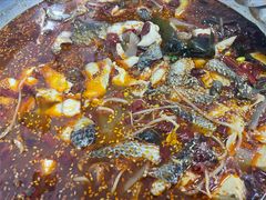 红汤鱼火锅-川渔居—鱼火锅(八方汇店)