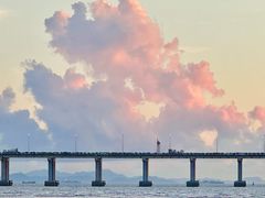 -宝安西湾红树林湿地公园