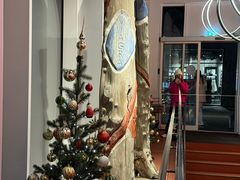 -冰岛阴茎博物馆