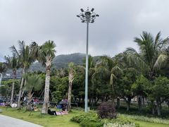 -大梅沙海滨公园