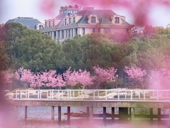 -新江湾城公园