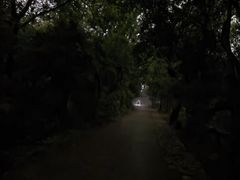 -皖北巫氏三胖地锅鸡(长淮总店)