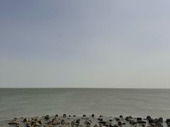 -天津妈祖文化园