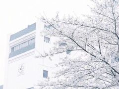 -武汉大学-樱园