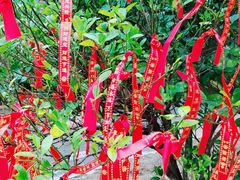 -七仙岭温泉国家森林公园