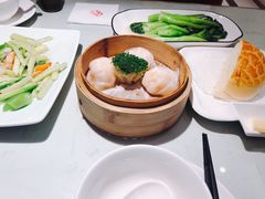 -南枝记