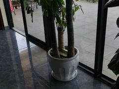 -张钰强中医正骨推拿连锁(唐家人才公寓店)