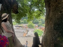 -杨家堂村
