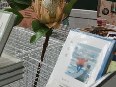 -深圳特区报业大厦
