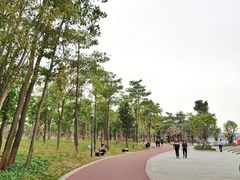 -苏颂公园