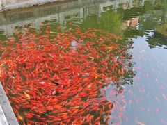 -国家植物园