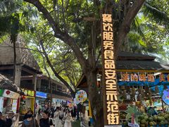 -海南分界洲岛旅游区