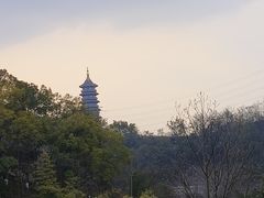 -重庆园博园