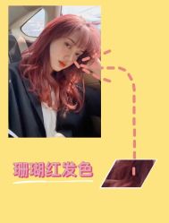 -崇尚GAVIN STYLE