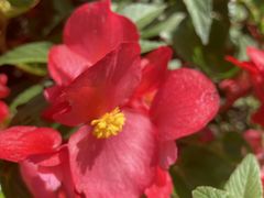 -长春公园(普阳街道)