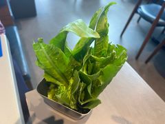 -渔惑·中山脆肉鲩火锅(金湾华发商都店)