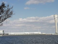 -上海吴淞炮台湾国家湿地公园