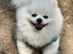 -钟山体育运动公园