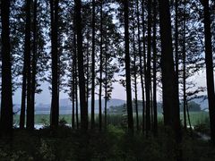 -云龙湖旅游景区