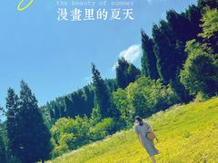 -武陵山森林公园
