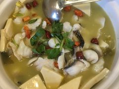-蜀腾川·火锅鱼.烤鱼(新世界城店)