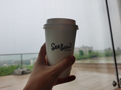 -Seesaw Coffee(朝阳大悦城店)