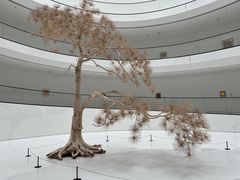 -上海宝龙美术馆