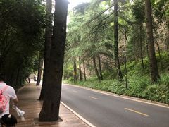 -紫金山山顶公园