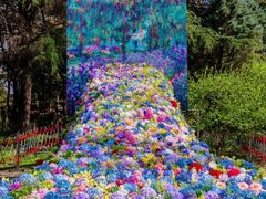 -上海共青森林公园