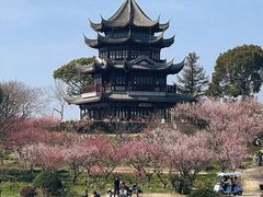 -上海海湾国家森林公园