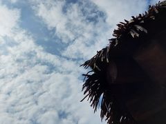 -中海·庐山西海君澜度假酒店·味屿全日制餐厅