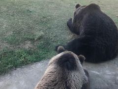-上方山森林动物世界