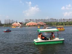 -上海长兴岛郊野公园