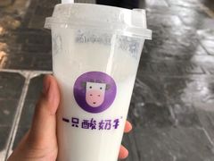 -一只酸奶牛(八一路店)