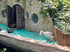 -南宫五洲植物乐园