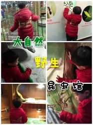 -玩具反斗城(正大广场店)