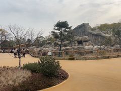 -武汉动物园