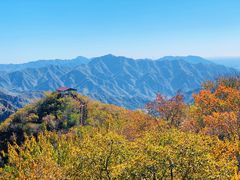 -大岭沟猕猴桃谷风景区