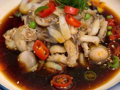 捞汁八爪鱼-湯記傳菜