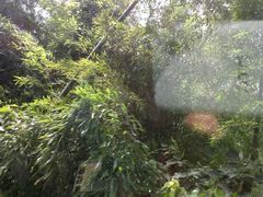android_upload_pic-宁波浙东大竹海景区