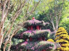 -杭州植物园