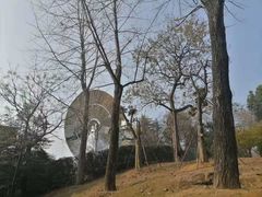 -浙江大学(玉泉校区)