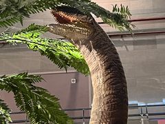 -湖南省地质博物馆