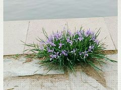 -廊坊文化艺术中心