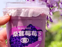 -书亦烧仙草(凯升广场店)